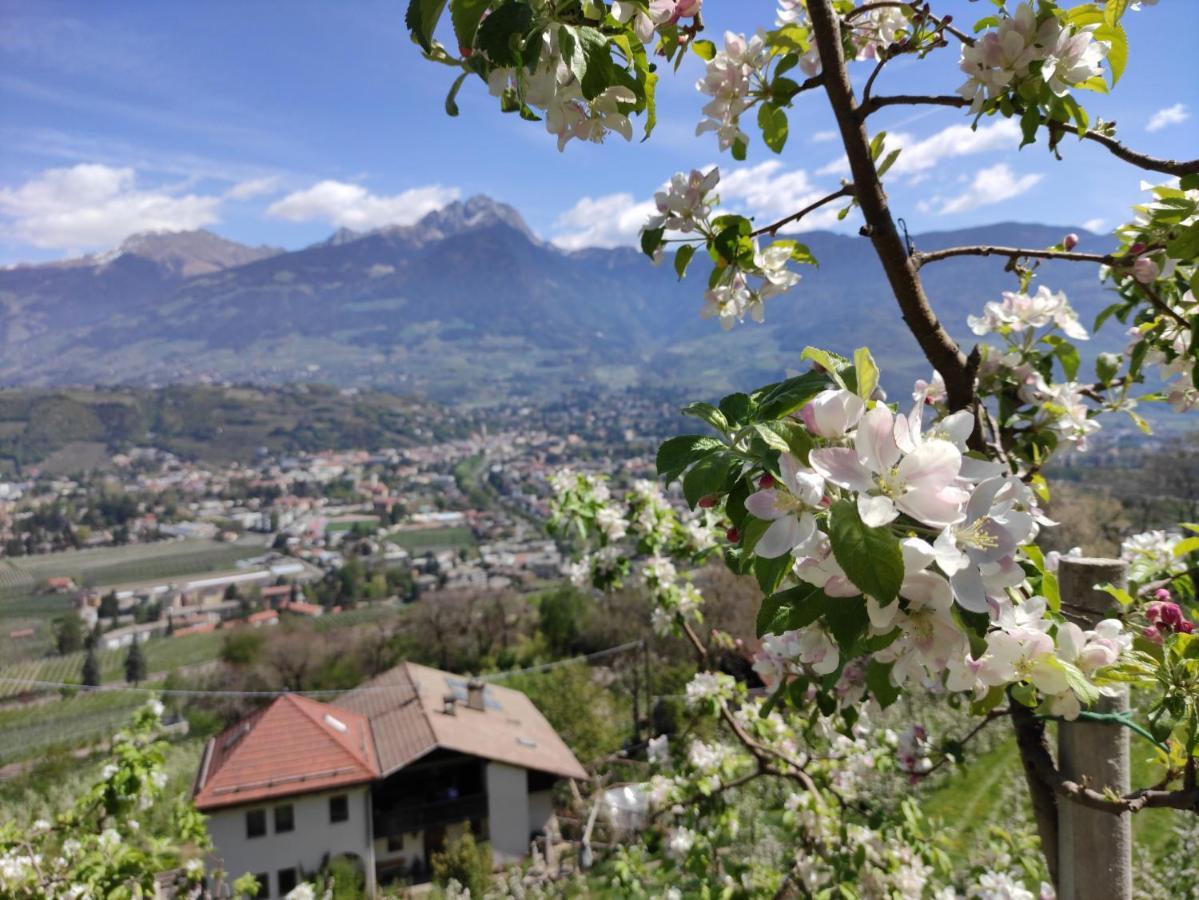 Hagen Apartment Merano